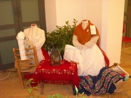 Exposición de indumentaria y costumbres 2009